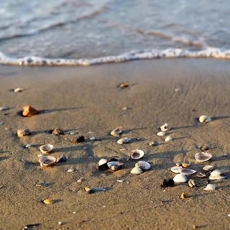 Appartamento Near In Bibione 55154 Bibione