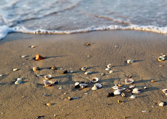 Apartment Near In Bibione 55154 Bibione